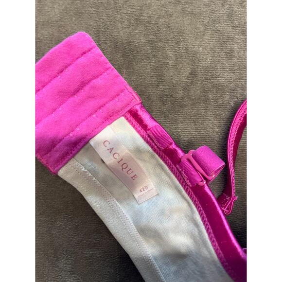 Lane Bryant Cacique Leopard and Pink Bra 42D - Picture 3 of 4